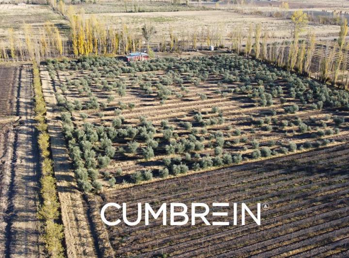 Campo · 180000m²