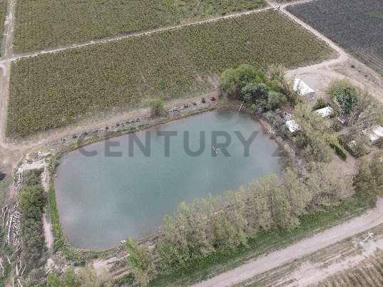 Campo · 143m²