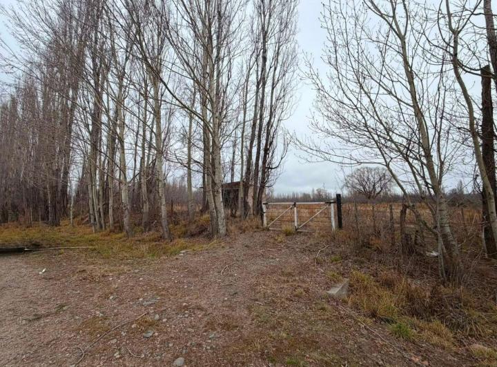 Campo · 21186m²