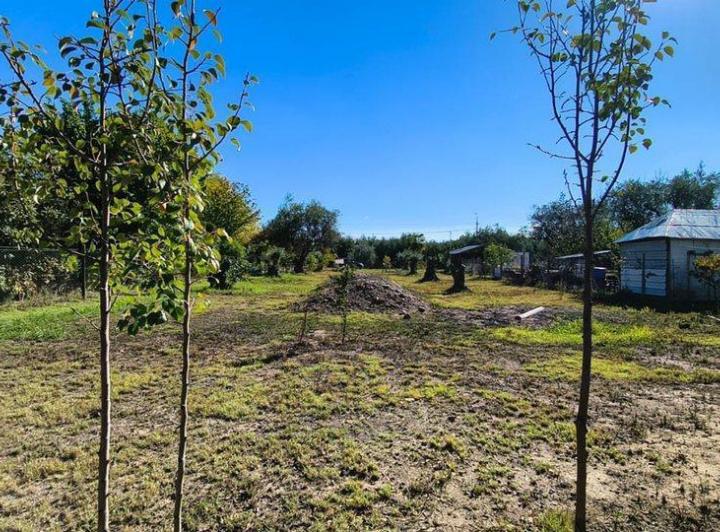 Terreno · 1117m²