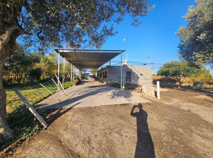 Campo · 4ha