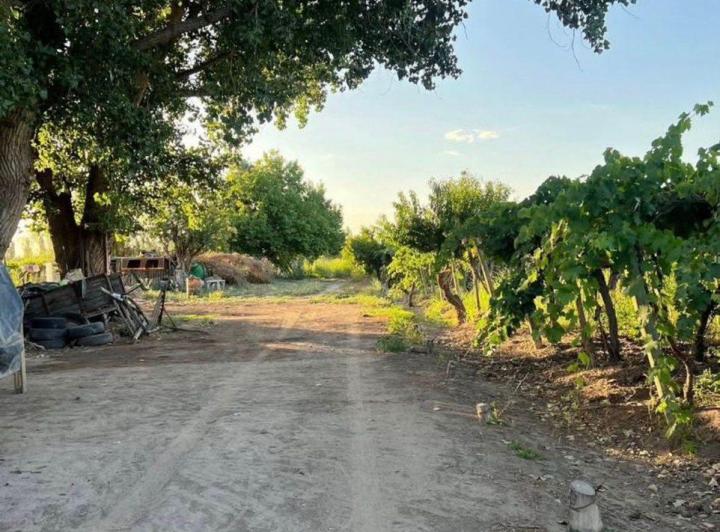 Campo · 12ha