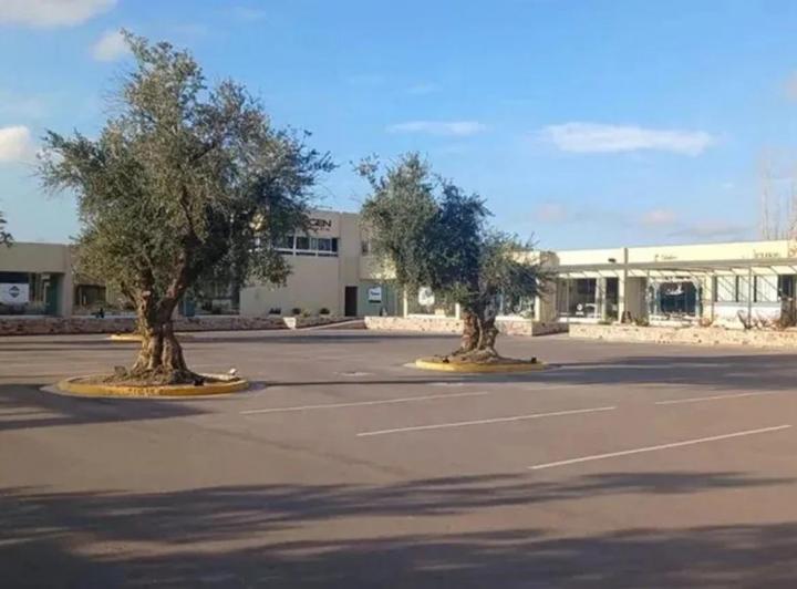 Terreno · 377m²