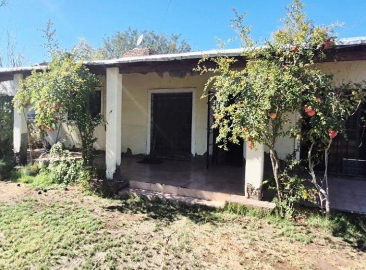 Campo · 90ha