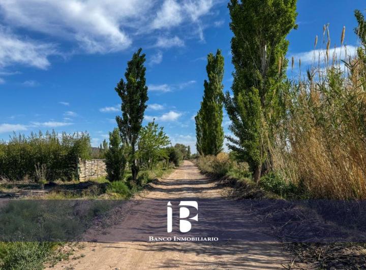 Terreno · 5000m²