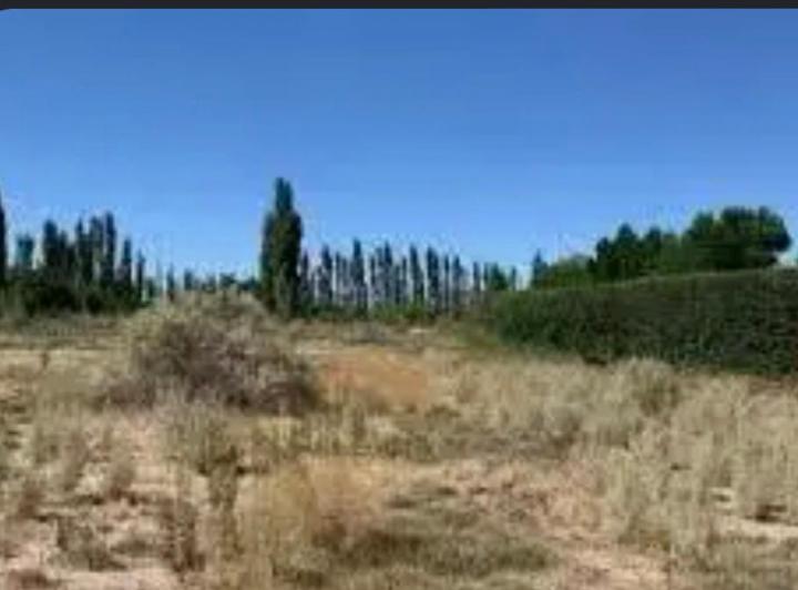 Terreno · 5ha