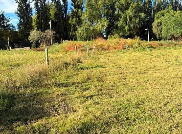 Terreno · 1984m²