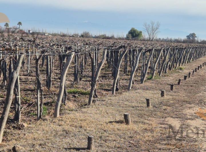 Campo · 1800000m²