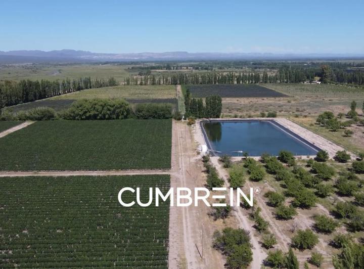 Campo · 500000ha