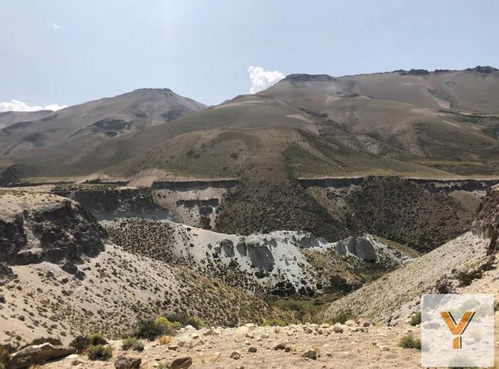 Campo · 5545000m²