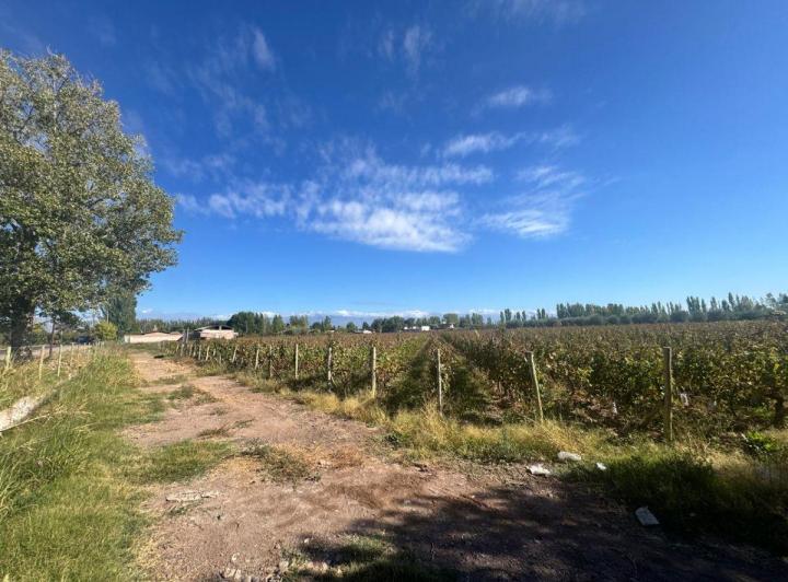 Terreno · 48000m²