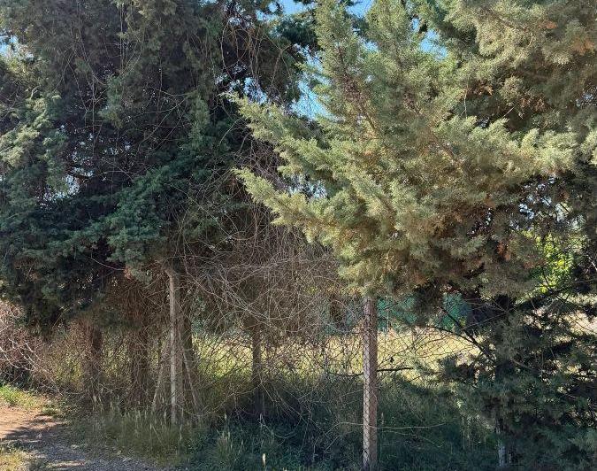 Terreno · 200m²