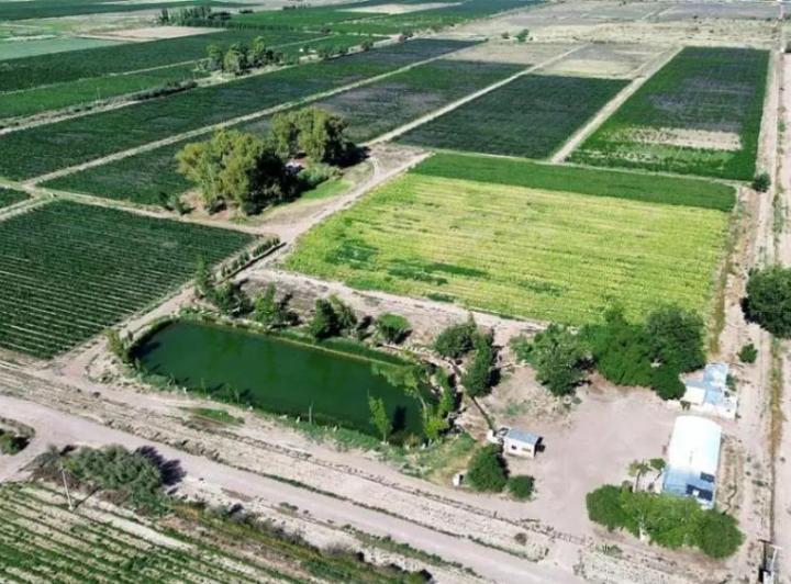 Campo · 32m²