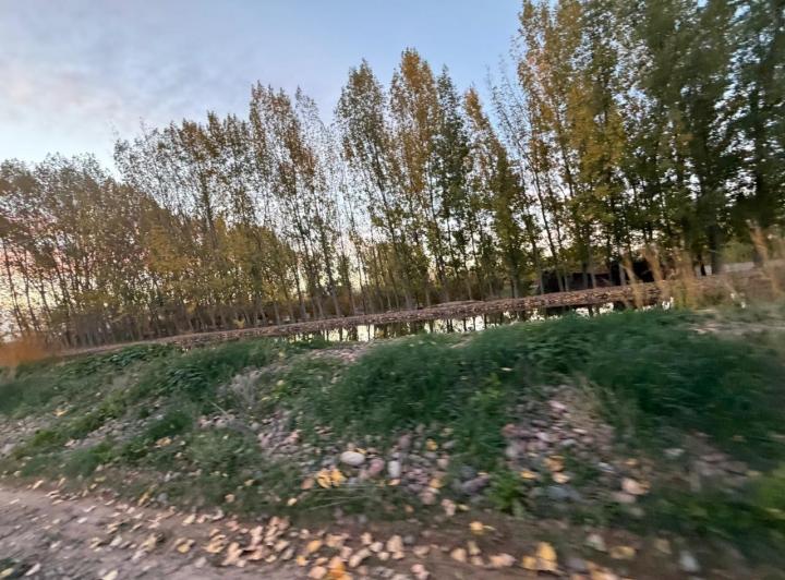 Bodega-Galpón · 916m² · 1 Ambiente