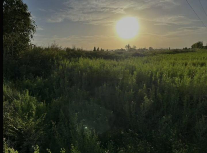 Campo · 70000m²