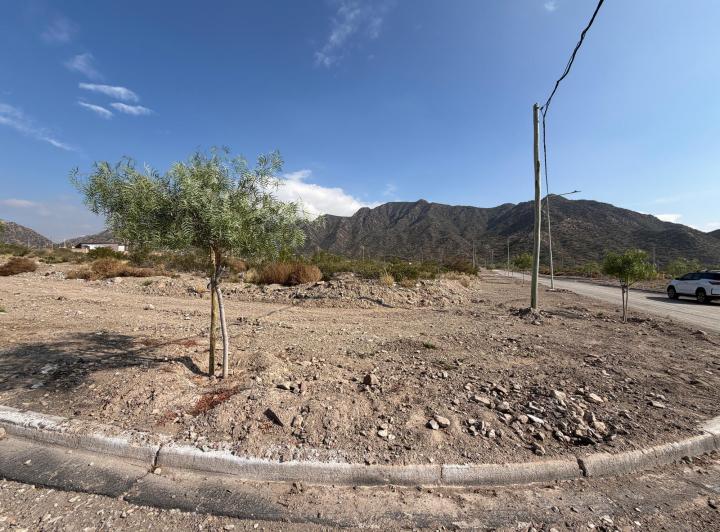 Terreno · 650m²