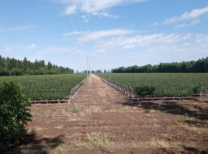 Campo · 20ha · 2 Ambientes