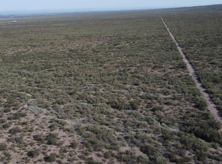 Campo · 160000m²