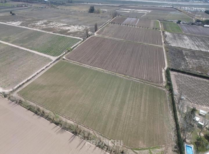 Terreno · 12ha