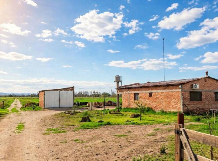 Campo · 323540m²