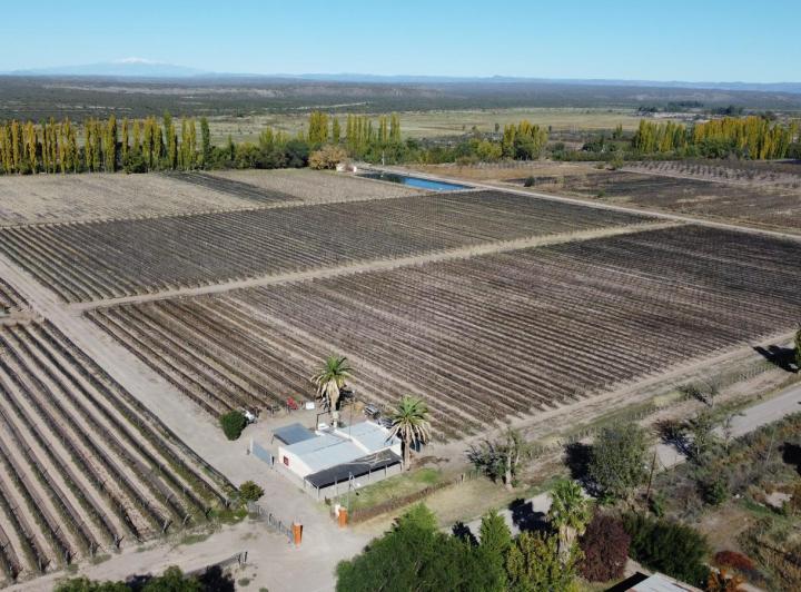 Campo · 19ha