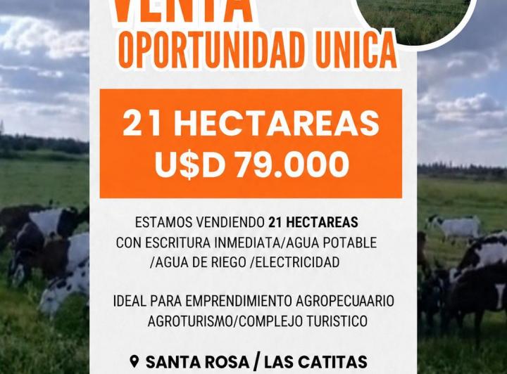 Terreno · 21ha