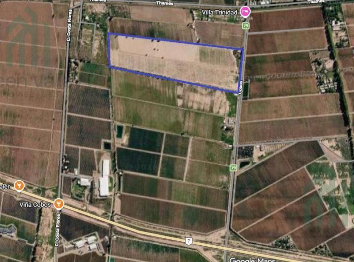 Campo · 20ha