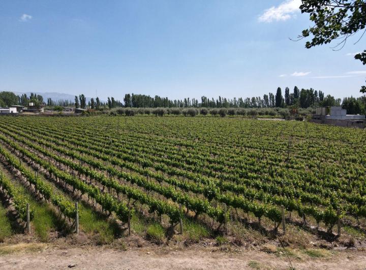 Terreno · 10000m²