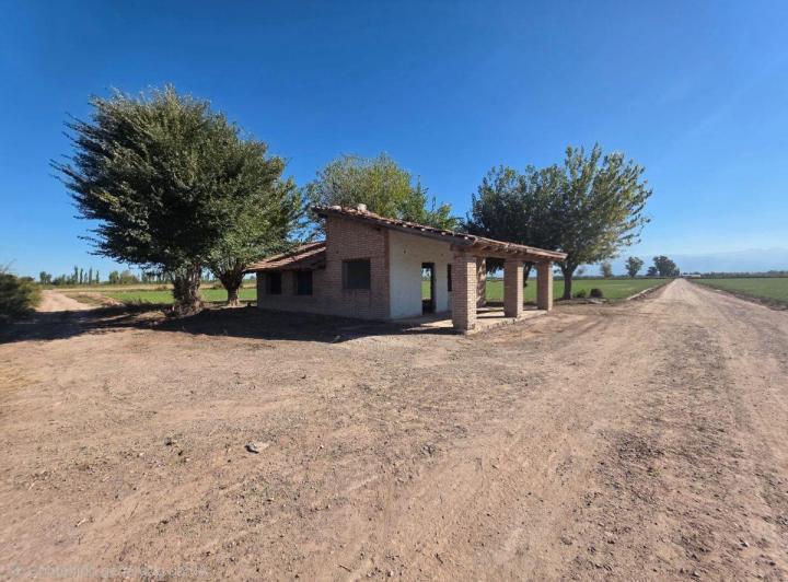 Campo · 56m²