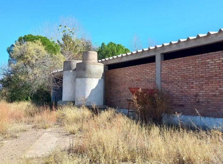 Campo · 1200ha
