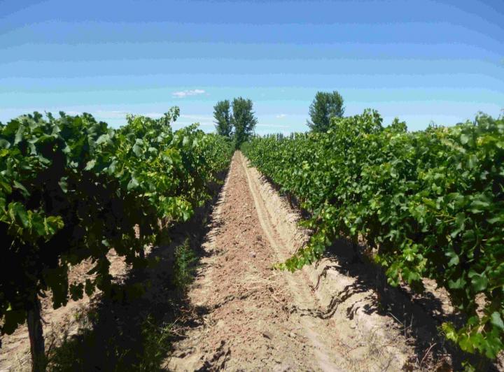 Terreno · 230000m²