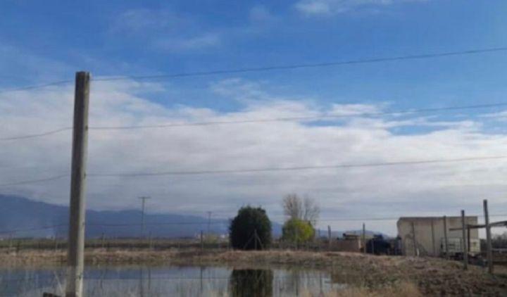 Campo · 26ha