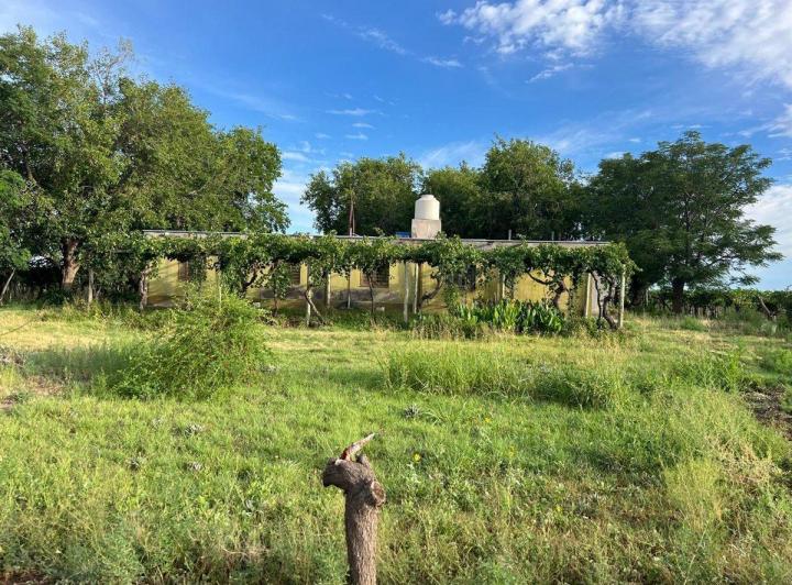 Campo · 28ha