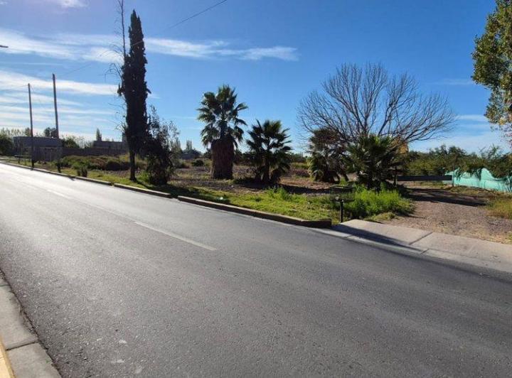 Campo · 6ha