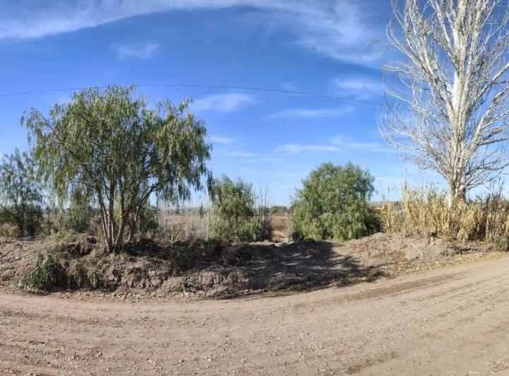 Terreno · 55000m²