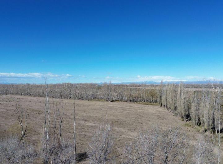 Campo · 1305m²