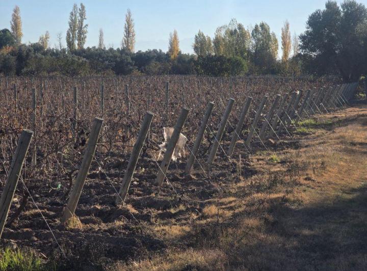 Campo · 200m²