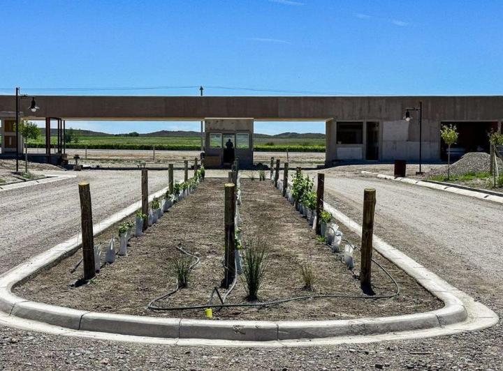 Terreno · 1000m²