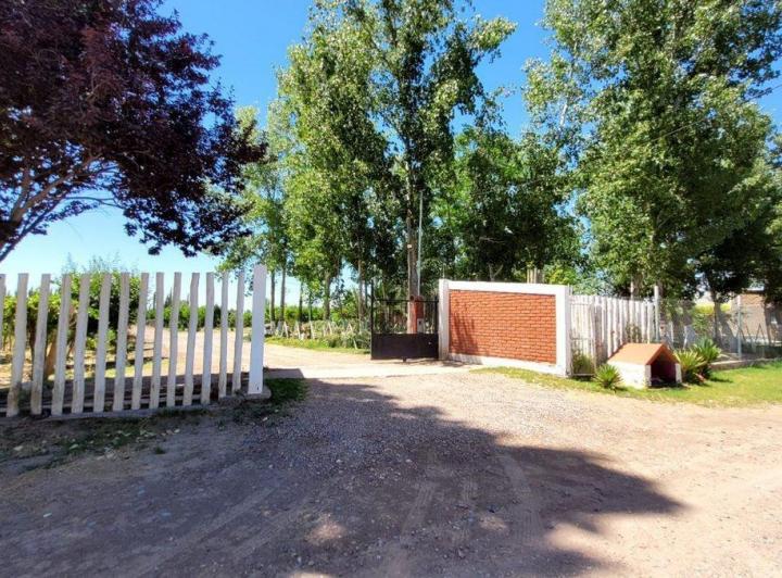 Campo · 200ha