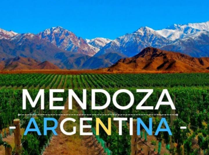 Bodega-Galpón · 294000m²