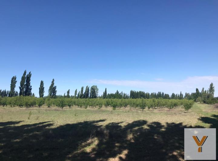 Quinta vacacional · 146m² · 6 Ambientes