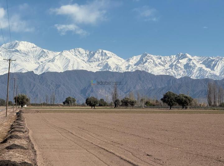 Campo · 20ha