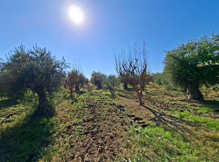 Terreno · 54130m²