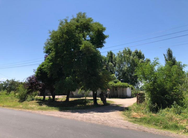 Campo · 299m² · 3 Ambientes · 4 Cocheras