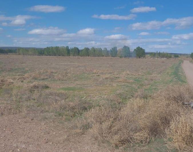 Campo · 10ha