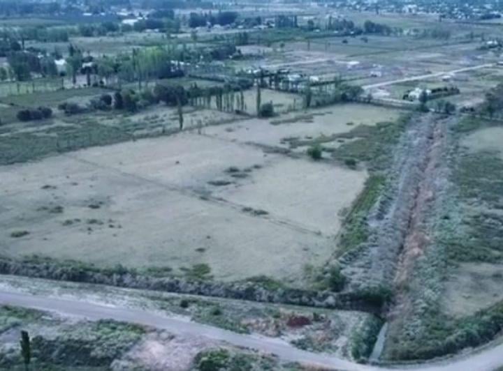 Campo · 6ha