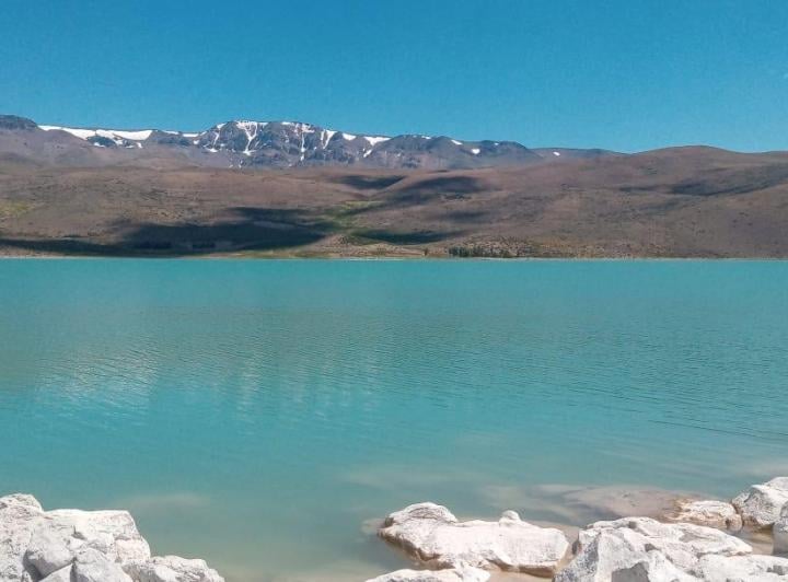Campo · 40m² · 2 Ambientes