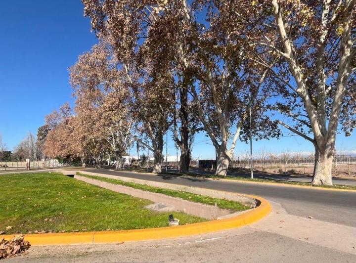 Terreno · 620m²