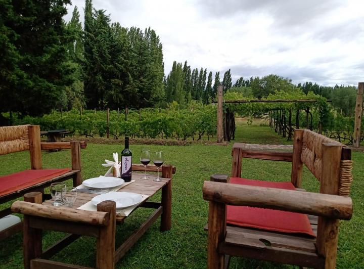 Bodega-Galpón · 415m² · 8 Ambientes · 10 Cocheras