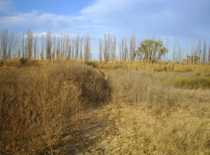 Terreno · 2m²